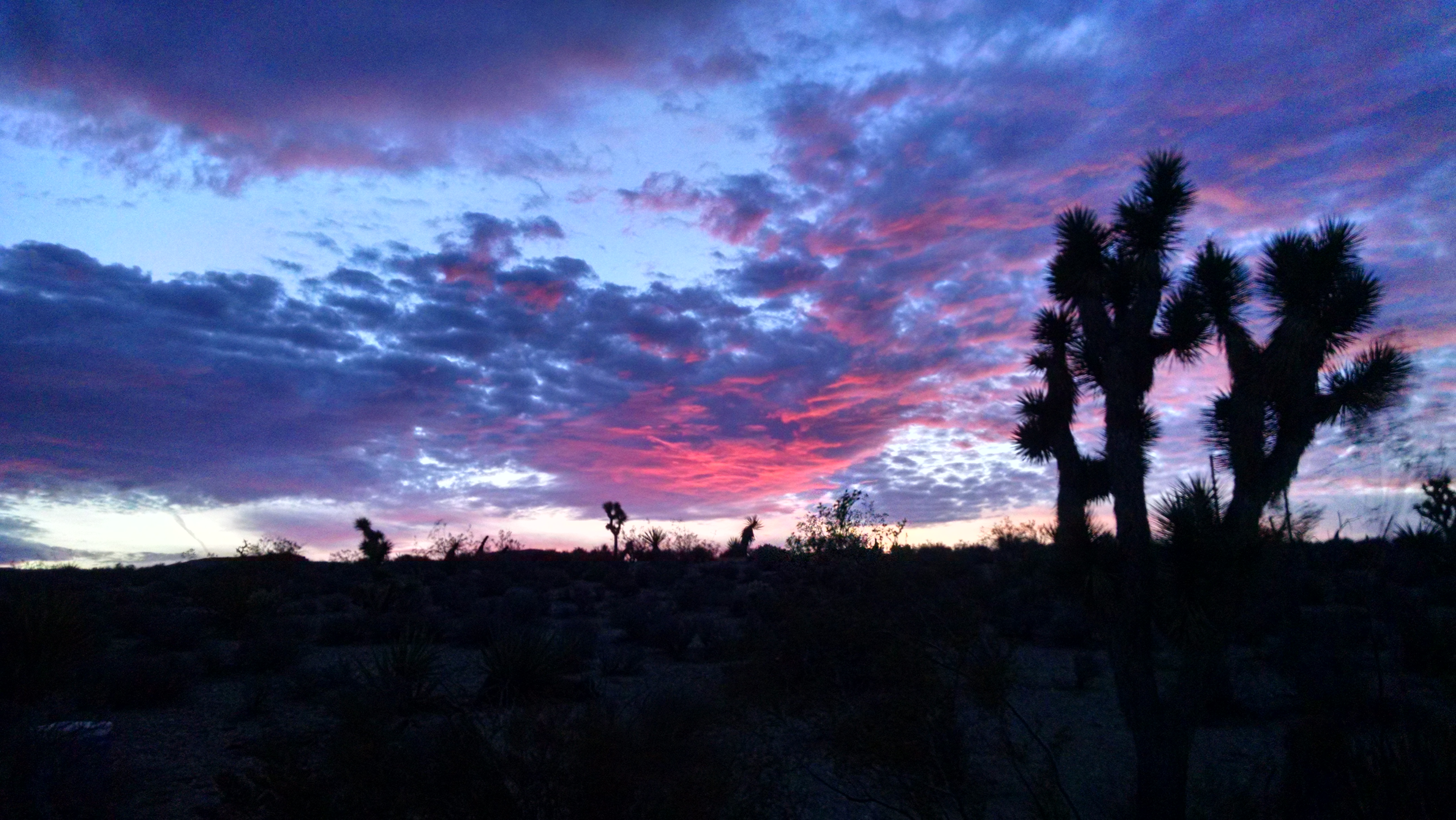 nightfall